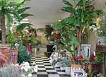 The Love Garden